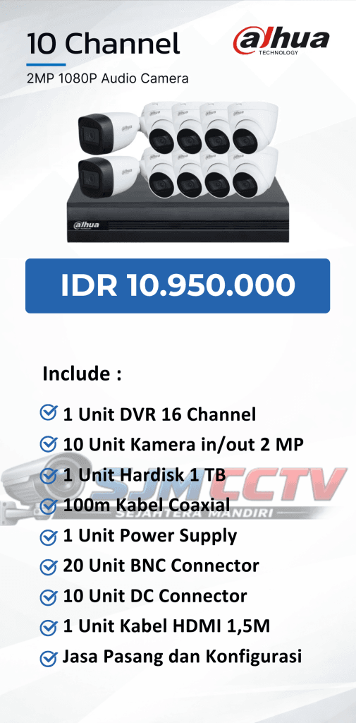 dahua 10 channel audio