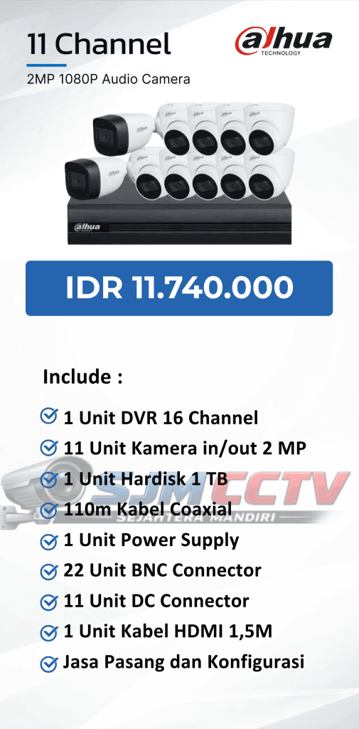 dahua 11 channel audio