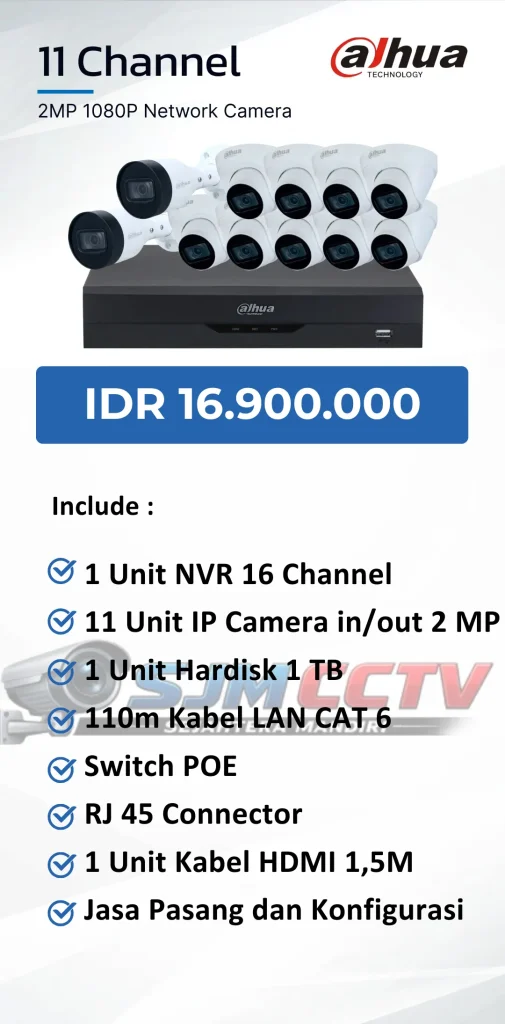 dahua 11 channel ipcam