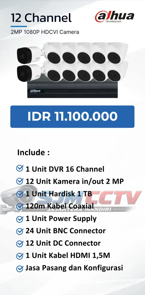 dahua 12 channel analog