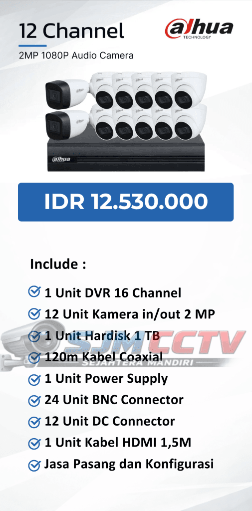 dahua 12 channel audio