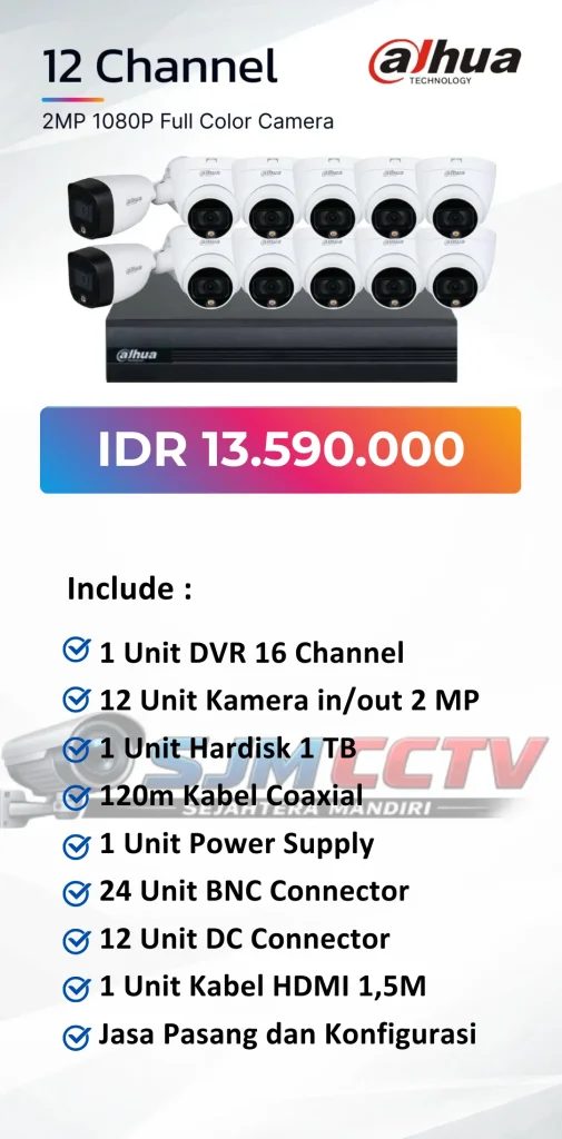 dahua 12 channel colorvu
