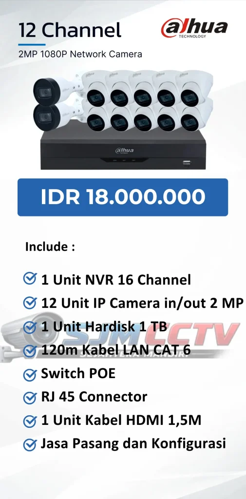 dahua 12 channel ipcam