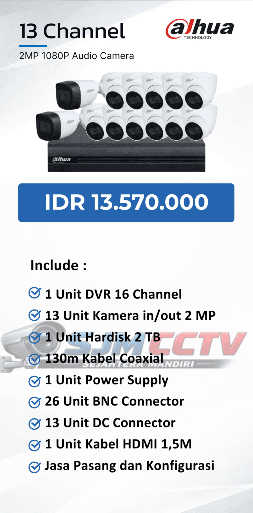 dahua 13 channel audio