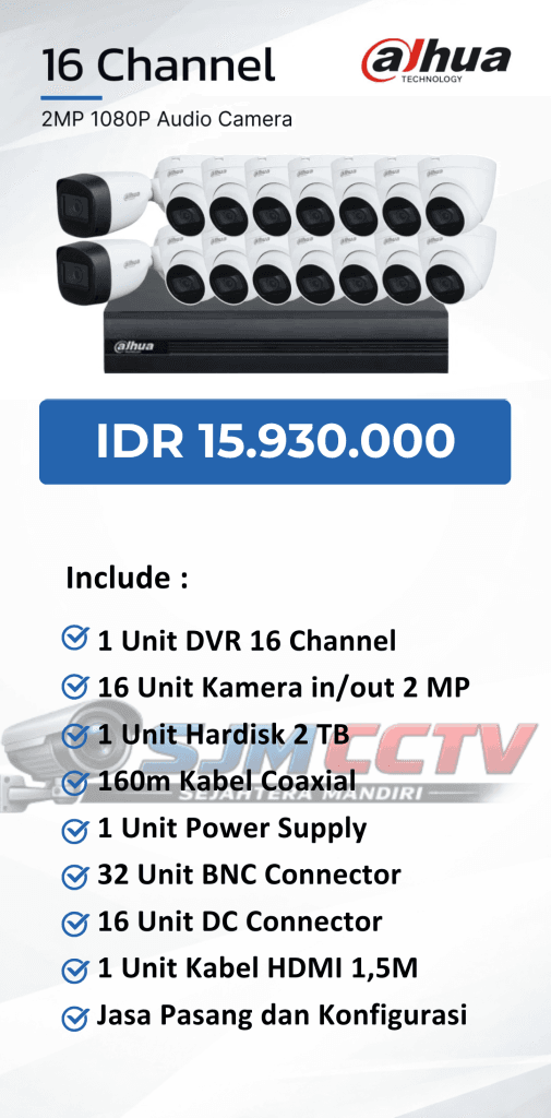 dahua 16 channel audio