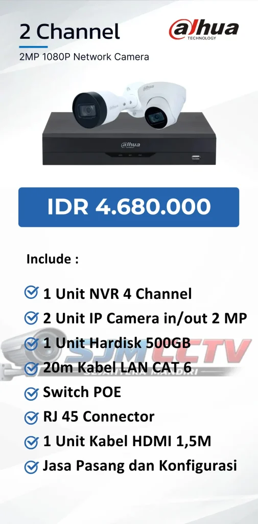 dahua 2 channel ipcam