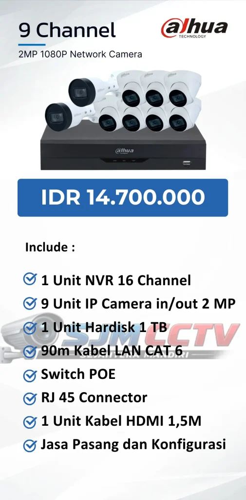 dahua 9 channel ipcam