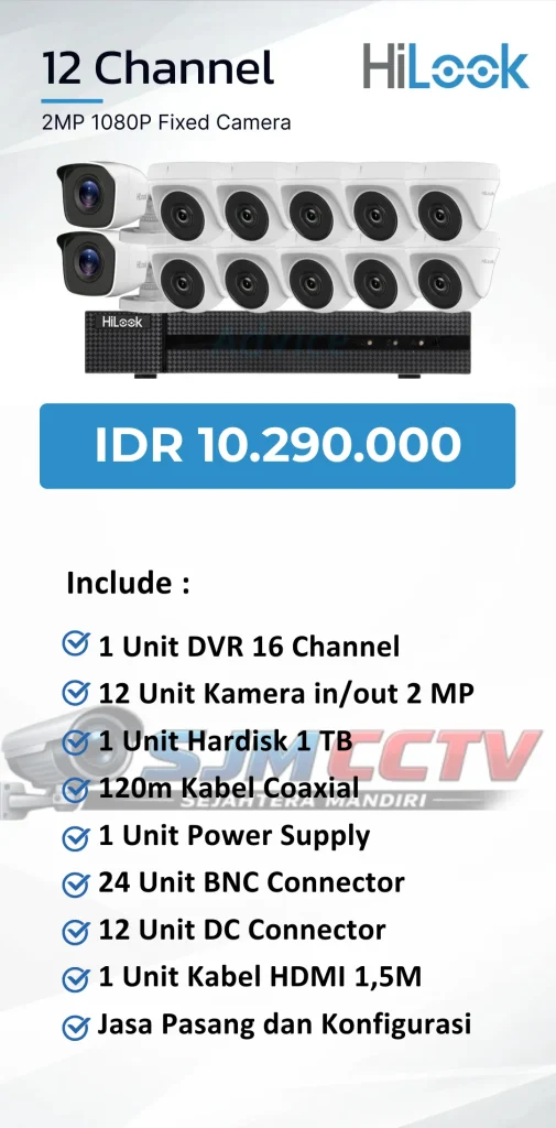 hilook 12 channel analog
