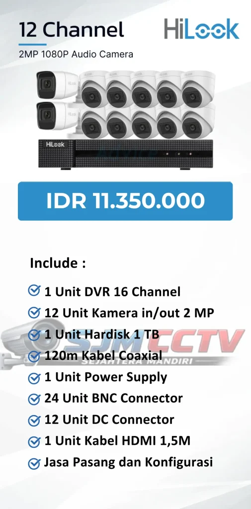 hilook 12 channel audio
