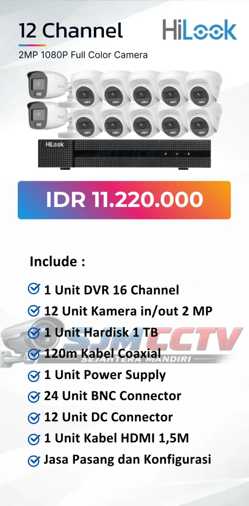 hilook 12 channel colorvu