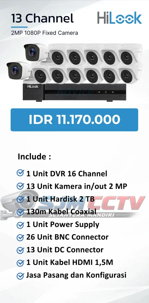 hilook 13 channel analog