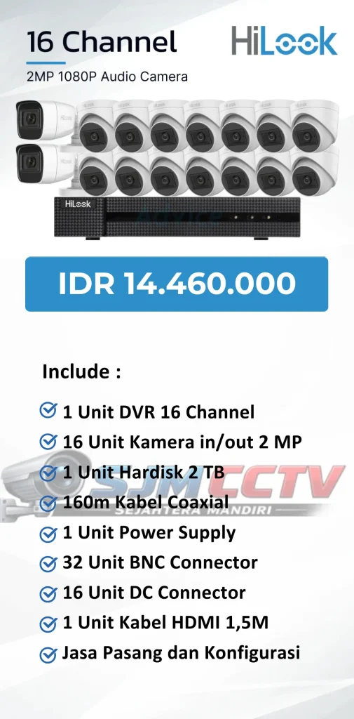 hilook 16 channel audio